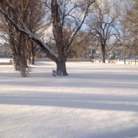 It does snow in Az in January at the ranch